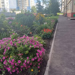 7ab7740e-cbc4-4485-afdf-7996acb2ec48.jpg