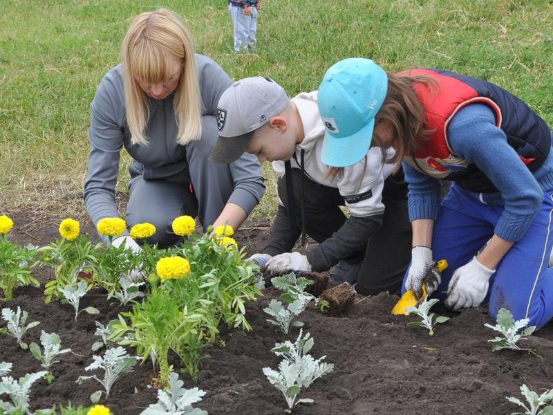 Изображение новости