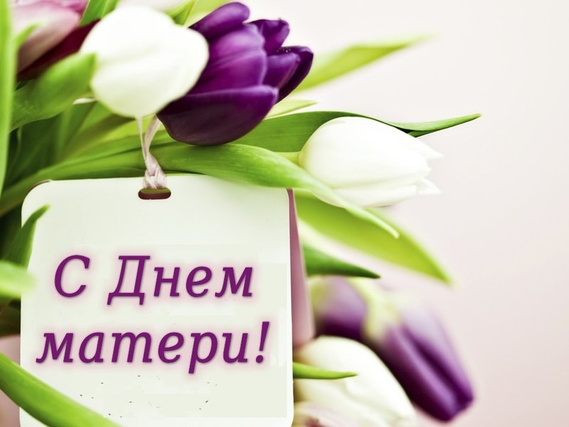 Изображение новости