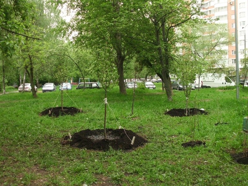 Изображение новости