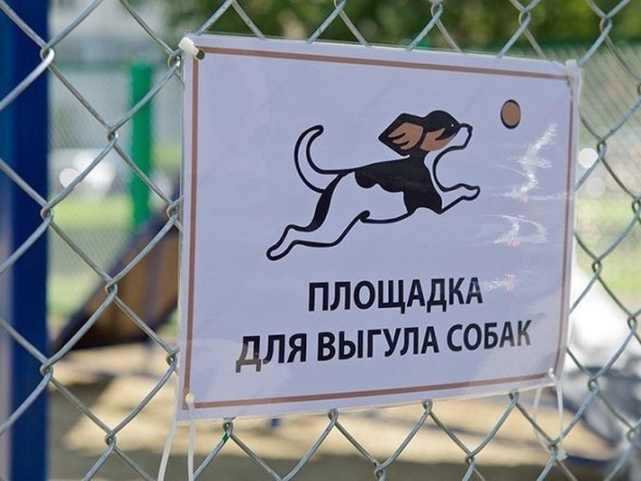 Изображение новости