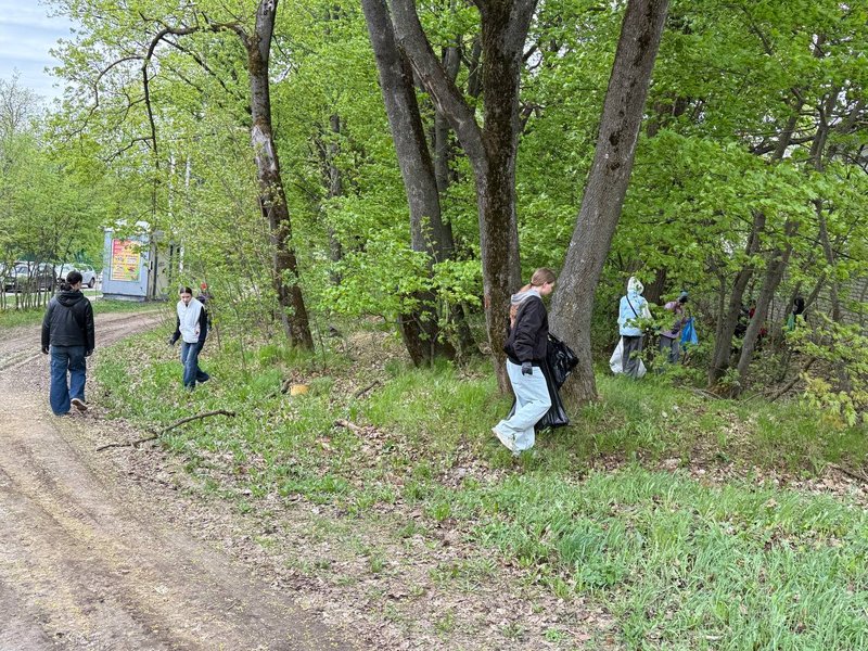 Изображение новости