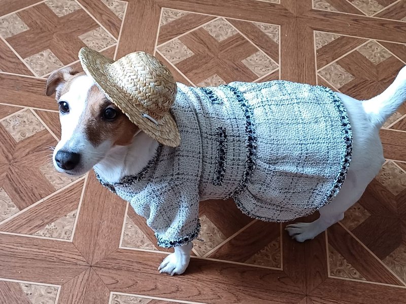 Изображение новости